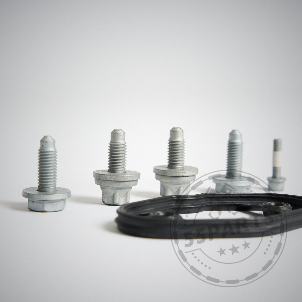 Vier silberne Schrauben und eine schwarze Gummidichtung vom 55Parts Einbauset Schraubenset B58 TU / Dorch Hochdruckpumpe passend für BMW 1er F2x, 2er F2x, 3er F3x, 4er F3x B58 sind auf einer weißen Fläche mit einem schwachen kreisförmigen Logo davor abgebildet.