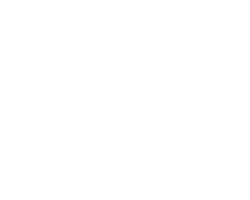 Rundes Logo mit zwei gekreuzten Kolben über dem Text 55PARTS, mit einem auffälligen Automobildesign und drei Sternen darunter.