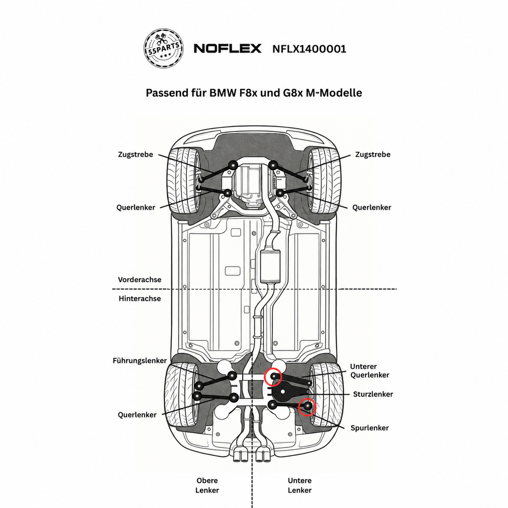NoFlex Bearings NFLX1400001: schematische Einbauposition der Uniballlager für BMW F8x und G8x M-Modelle – unterer Querlenker auf Achsträgerseite und Spurlenker auf Radträgerseite.